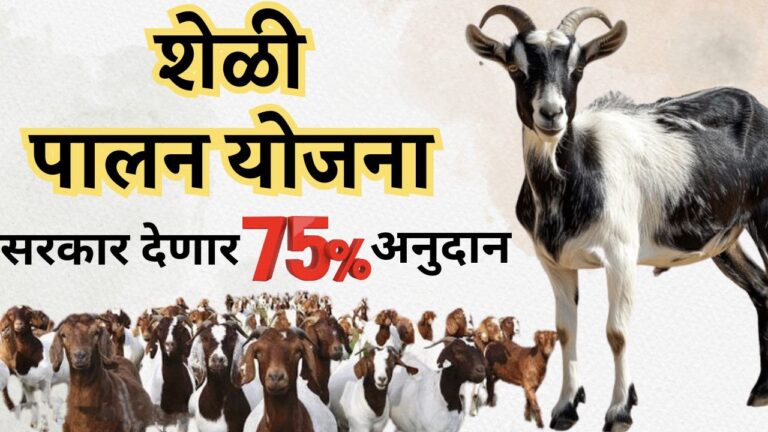 शेळी खरेदी, शेड बांधकाम साठी सरकार देणार 75% अनुदान, असा करा अर्ज