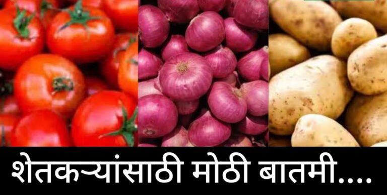 सरकारचा मोठा निर्णय: टोमॅटो, कांदा, बटाटा दिल्ली-मुंबईला पाठवा, वाहतूक खर्च सरकार देणार!