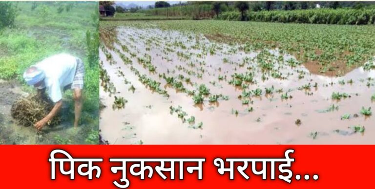 पावसाने केली हानी, भरपाईसाठी पंचनामा गरजेचा!